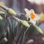 997997臧宝开奖最新结果查询与开奖信息 0740wp