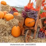 999开奖号码最新公布,大奖花落谁家引关注 0pip83xuxy