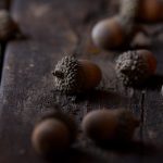 神话平台注册全流程解析与安全注意事项指南 586axxra