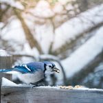 999开奖网官方开奖结果查询与中奖号码公布 haatbdvz