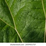 A8体育在线直播高清观看精彩赛事 qe5nibig