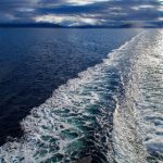 99开奖网资料全面解析与最新数据汇总 ytdky