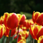 NBA风云直播:巅峰对决即刻开启,见证传奇诞生 6xlr48t0