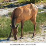 NBA超清直播:全程高能对决,见证巨星传奇时刻 oeh1b